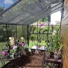 Comment protéger vos fleurs en été ? 4 - Le Progrès Egyptien Comment protéger vos fleurs en été ? 3 - Le Progrès Egyptien