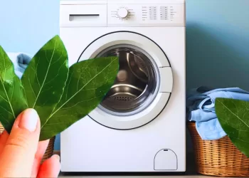 Machine à laver :  Feuille de laurier pour chasser les odeurs