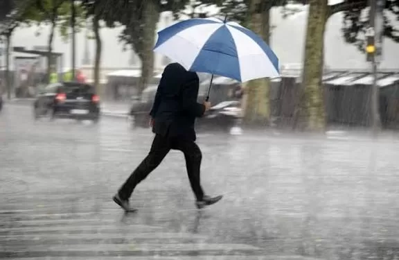 C’est l’automne… 1 - Le Progrès Egyptien