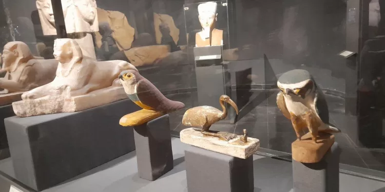 L'exposition des artefacts submergés renforce le statut archéologique de l'Egypte 1 - Le Progrès Egyptien