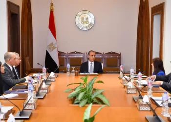 Le ministre des Affaires étrangères renforce le rôle de l’Agence égyptienne de partenariat pour le développement en Afrique