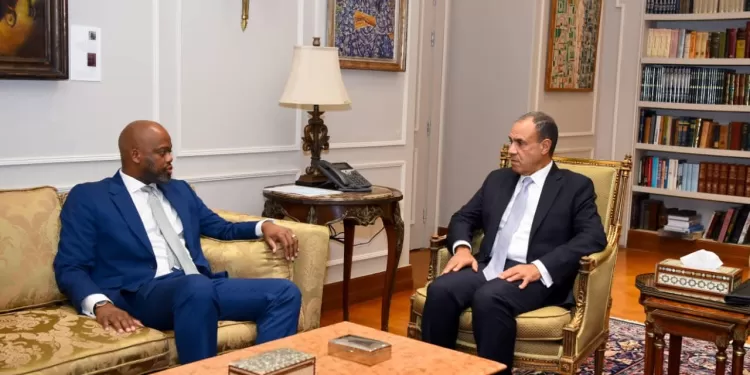 Le ministre des Affaires étrangères rencontre le secrétaire général de la Zone de libre-échange continentale africaine 1 - Le Progrès Egyptien