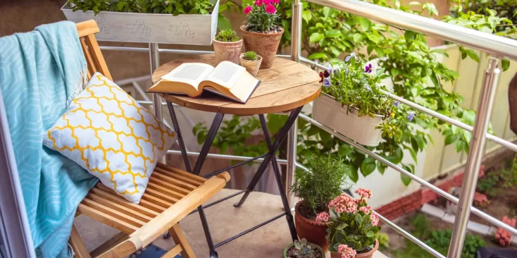 Pour un balcon embelli par les plantes 2 - Le Progrès Egyptien Pour un balcon embelli par les plantes 1 - Le Progrès Egyptien