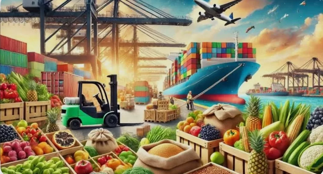 Les exportations égyptiennes conquièrent les marchés mondiaux 2 - Le Progrès Egyptien Les exportations égyptiennes conquièrent les marchés mondiaux 1 - Le Progrès Egyptien