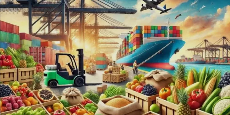 Les exportations égyptiennes conquièrent les marchés mondiaux 2 - Le Progrès Egyptien Les exportations égyptiennes conquièrent les marchés mondiaux 1 - Le Progrès Egyptien