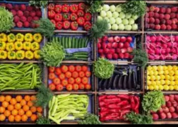 Manger vert au pays du Nil: Avenir alimentaire ou privilège d’urbains ?