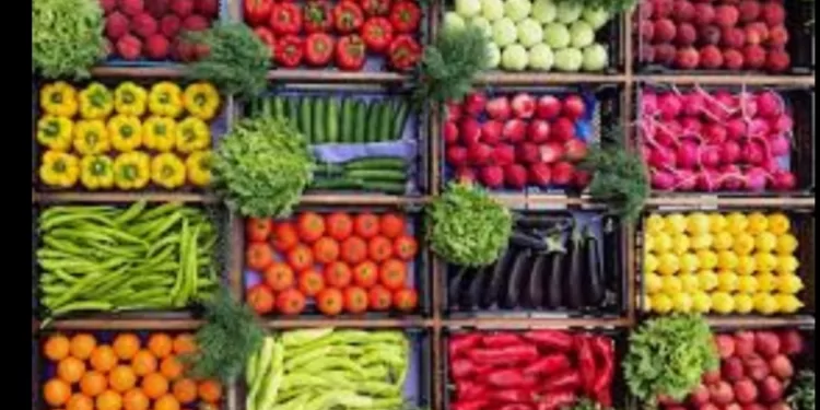 Manger vert au pays du Nil: Avenir alimentaire ou privilège d’urbains ? 1 - Le Progrès Egyptien