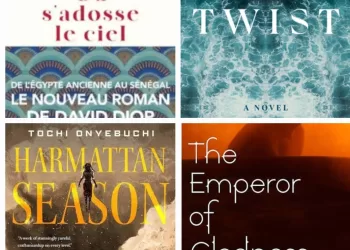 Regards croisés sur le roman contemporain