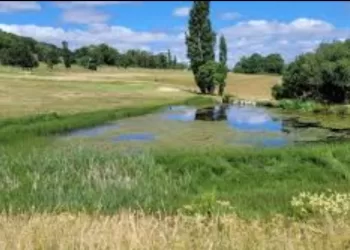 Vers une renaturalisation des zones humides