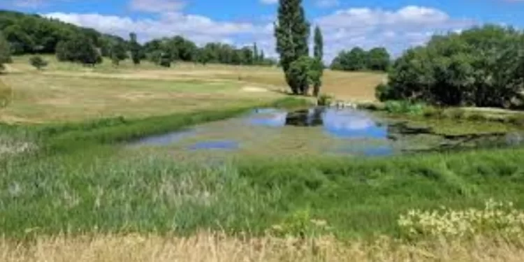 Vers une renaturalisation des zones humides 2 - Le Progrès Egyptien Vers une renaturalisation des zones humides 1 - Le Progrès Egyptien