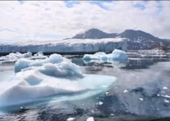 Au Groenland, la fonte des glaciers encourage la vie océanique
