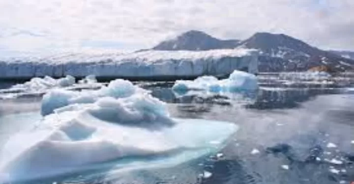 Au Groenland, la fonte des glaciers encourage la vie océanique 1 - Le Progrès Egyptien