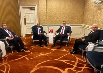 L’Egypte et la Turquie s’accordent pour renforcer leurs liens économiques et institutionnels 5 - Le Progrès Egyptien L’Egypte et la Turquie s’accordent pour renforcer leurs liens économiques et institutionnels