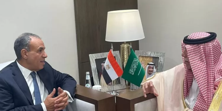 Le ministre des AE rencontre le ministre saoudien de l'Industrie 1 - Le Progrès Egyptien