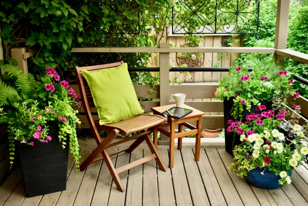 Pour un balcon embelli par les plantes 4 - Le Progrès Egyptien Pour un balcon embelli par les plantes 3 - Le Progrès Egyptien