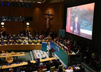 Climat: Xi défend le solaire et l’éolien, en contre-pied de Trump