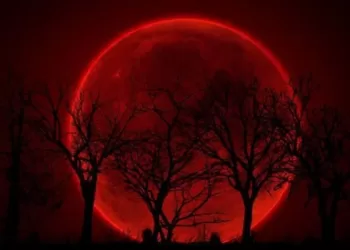 Eclipse lunaire totale : Un spectacle céleste teinté de rouge visible en Egypte, au M-O et en Asie