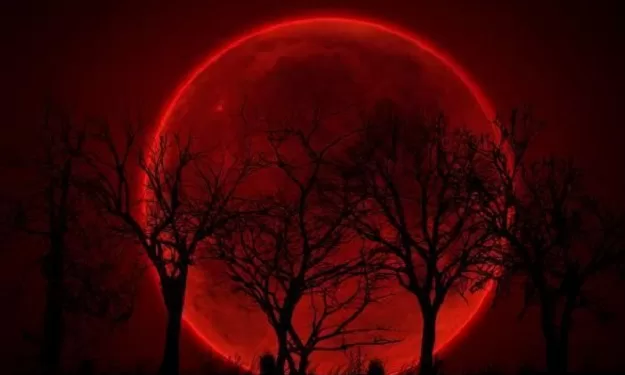 Eclipse lunaire totale : Un spectacle céleste teinté de rouge visible en Egypte, au M-O et en Asie 2 - Le Progrès Egyptien Eclipse lunaire totale : Un spectacle céleste teinté de rouge visible en Egypte, au M-O et en Asie 1 - Le Progrès Egyptien