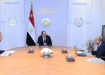 Le président al-Sissi ordonne de travailler pour intégrer les énergies renouvelables au mix énergétique