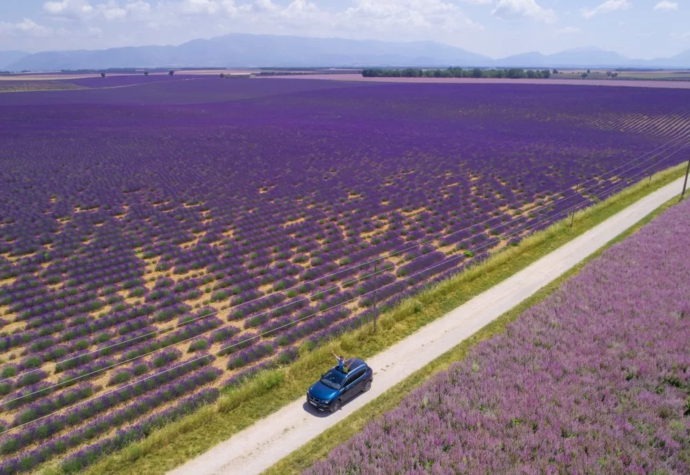 Le cap sur les plus belles routes du monde 4 - Le Progrès Egyptien Le cap sur les plus belles routes du monde 3 - Le Progrès Egyptien