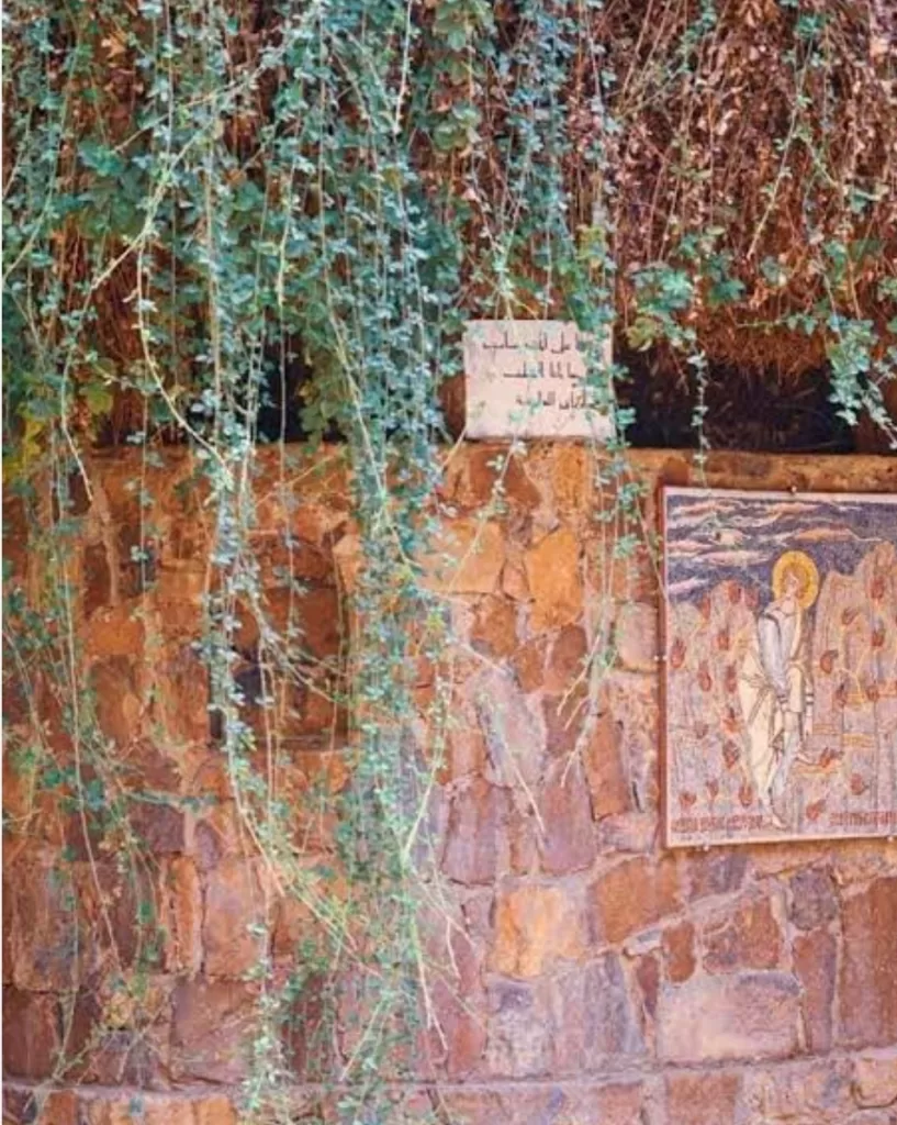 Unique au monde, secrets du roncier du monastère Sainte-Catherine 4 - Le Progrès Egyptien Unique au monde, secrets du roncier du monastère Sainte-Catherine 3 - Le Progrès Egyptien