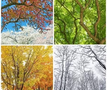 Ce que les saisons nous apprennent et le côté changeant de la vie 1 - Le Progrès Egyptien