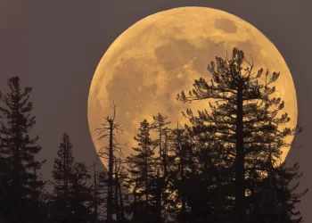 La Lune rouille à cause de l’oxygène de la Terre 4 - Le Progrès Egyptien La Lune rouille à cause de l’oxygène de la Terre