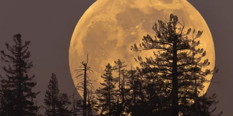 La Lune rouille à cause de l’oxygène de la Terre 2 - Le Progrès Egyptien La Lune rouille à cause de l’oxygène de la Terre 1 - Le Progrès Egyptien