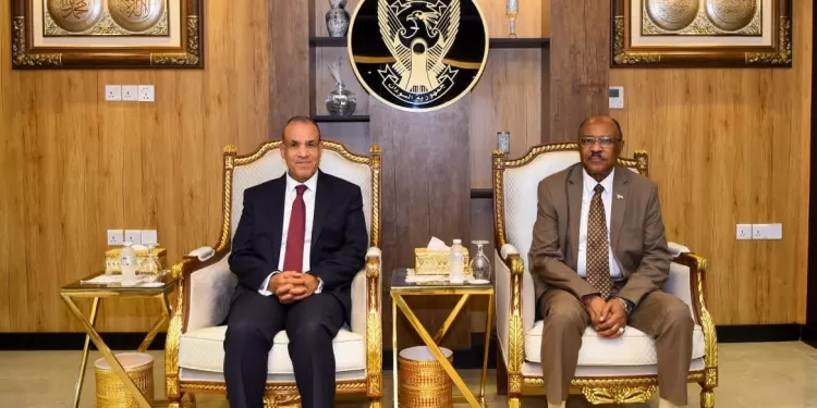 Le ministre des AE s'entretient avec son homologue soudanais 1 - Le Progrès Egyptien