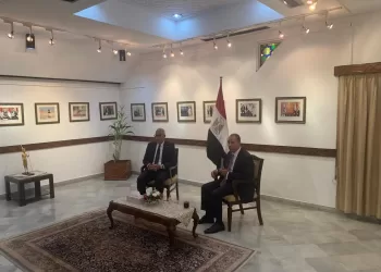 Le ministre des Affaires étrangères rencontre les membres de la communauté égyptienne en Inde