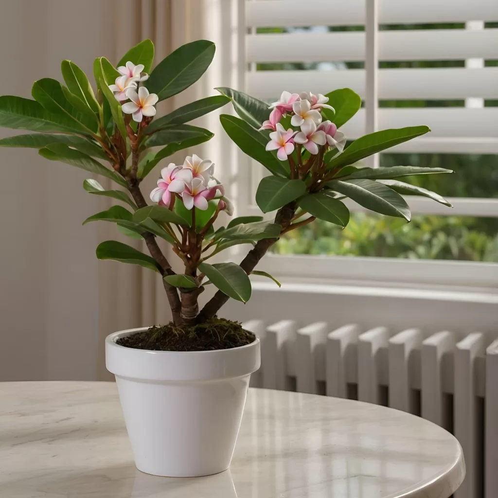 Plante d’intérieur idéale pour parfumer votre maison 4 - Le Progrès Egyptien Plante d’intérieur idéale pour parfumer votre maison 3 - Le Progrès Egyptien