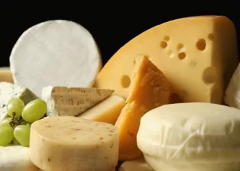 Quels sont les fromages les moins caloriques?
