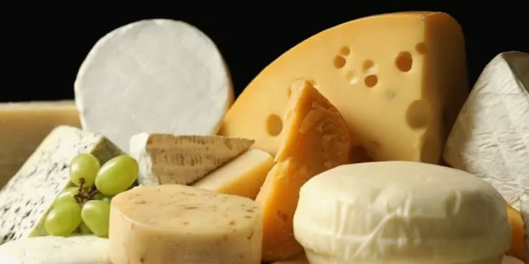 Quels sont les fromages les moins caloriques? 1 - Le Progrès Egyptien