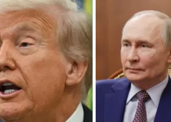 Trump rencontrera Poutine à Budapest "dans les deux prochaines semaines" 5 - Le Progrès Egyptien Trump rencontrera Poutine à Budapest “dans les deux prochaines semaines”