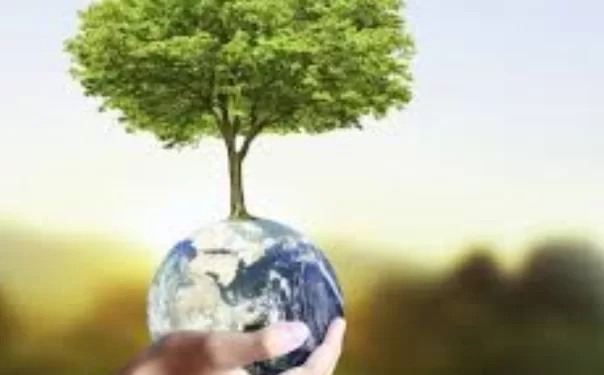 Les combats verts des stars 2 - Le Progrès Egyptien Les combats verts des stars 1 - Le Progrès Egyptien