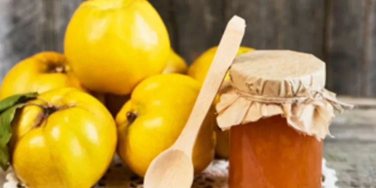 Hypertension: La confiture de coing aussi efficace qu'un médicament 2 - Le Progrès Egyptien Hypertension: La confiture de coing aussi efficace qu'un médicament 1 - Le Progrès Egyptien