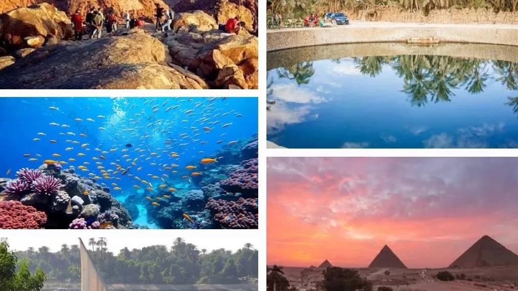 Entre pharaons et écotourisme: Nouvel horizon pour le tourisme durable 2 - Le Progrès Egyptien Entre pharaons et écotourisme: Nouvel horizon pour le tourisme durable 1 - Le Progrès Egyptien