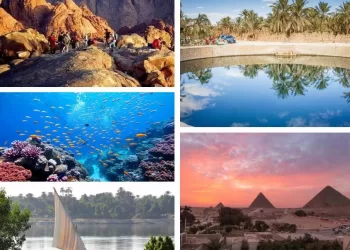 Entre pharaons et écotourisme: Nouvel horizon pour le tourisme durable 18 - Le Progrès Egyptien Entre pharaons et écotourisme: Nouvel horizon pour le tourisme durable