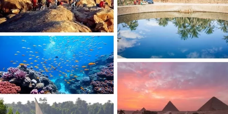 Entre pharaons et écotourisme: Nouvel horizon pour le tourisme durable 2 - Le Progrès Egyptien Entre pharaons et écotourisme: Nouvel horizon pour le tourisme durable 1 - Le Progrès Egyptien