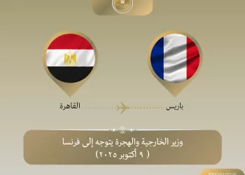 Abdel Aati attendu à Paris pour un Sommet sur Gaza