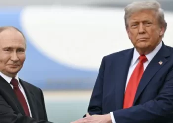 Préparation pour un sommet Trump-Poutine, Zelensky prêt à s'y joindre 5 - Le Progrès Egyptien Préparation pour un sommet Trump-Poutine, Zelensky prêt à s’y joindre
