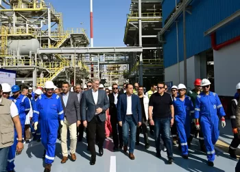 Madbouli effectue une visite d'inspection à Suez et à la SCZone 4 - Le Progrès Egyptien Madbouli effectue une visite d’inspection à Suez et à la SCZone