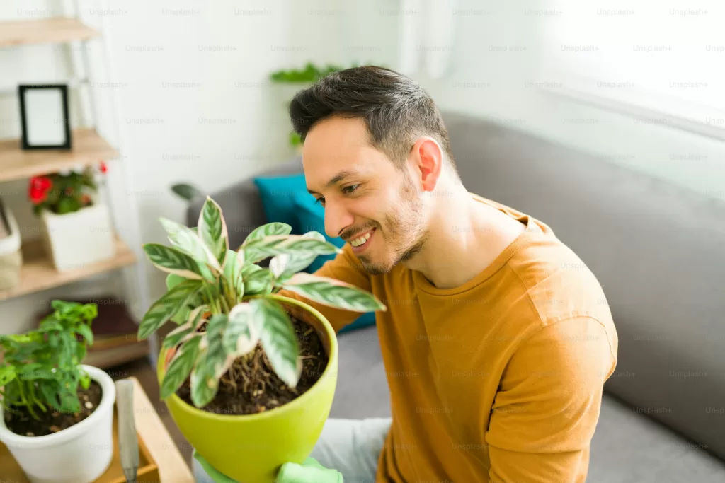 Quelle plante correspond le mieux à votre personnalité ? 11 - Le Progrès Egyptien