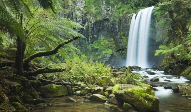 Ces bruits qui procurent une sensation de bien-être 14 - Le Progrès Egyptien Ces bruits qui procurent une sensation de bien-être 13 - Le Progrès Egyptien