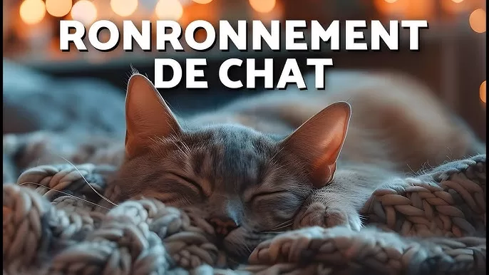 Ces bruits qui procurent une sensation de bien-être 10 - Le Progrès Egyptien Ces bruits qui procurent une sensation de bien-être 9 - Le Progrès Egyptien