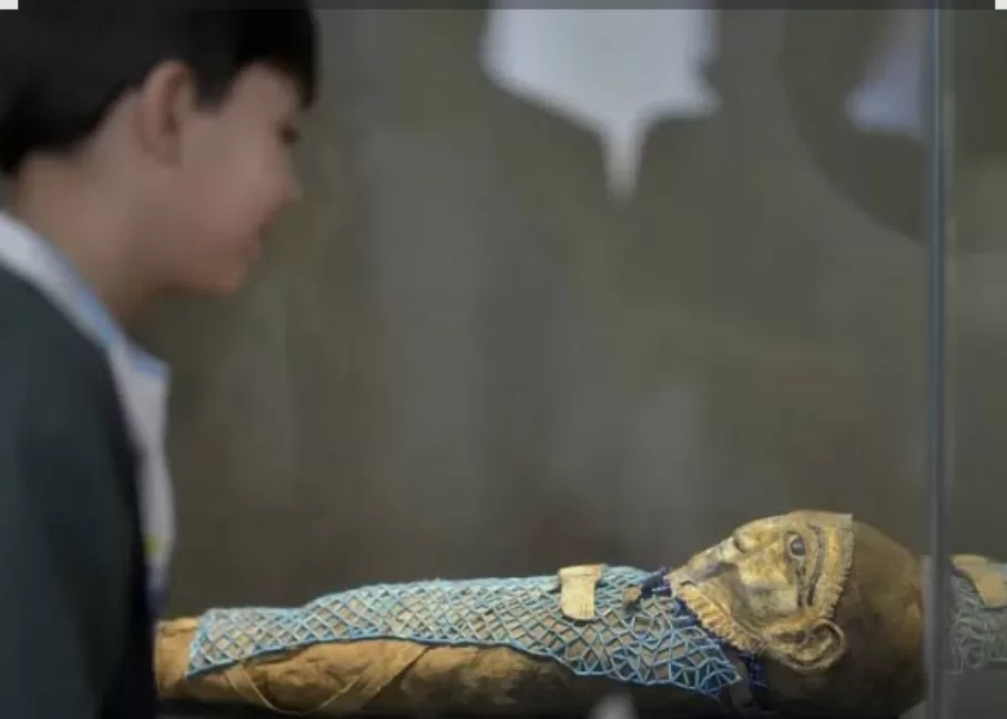 Le GME, un espace fascinant et captivant... pour les enfants  17 - Le Progrès Egyptien