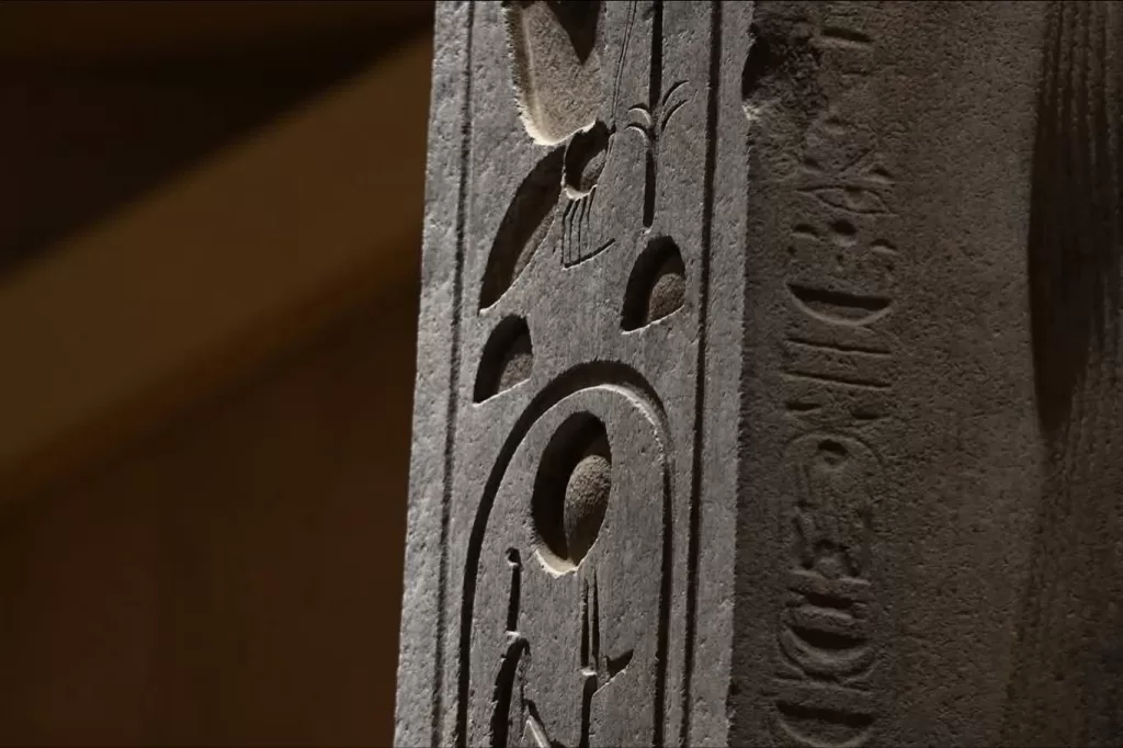 Promenade au GME: Entre contemplation et douceur 13 - Le Progrès Egyptien