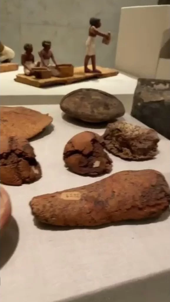Même des pains vieux de 4000 ans au GME... 8 - Le Progrès Egyptien Même des pains vieux de 4000 ans au GME... 7 - Le Progrès Egyptien
