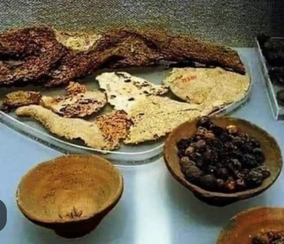 Même des pains vieux de 4000 ans au GME... 10 - Le Progrès Egyptien Même des pains vieux de 4000 ans au GME... 9 - Le Progrès Egyptien