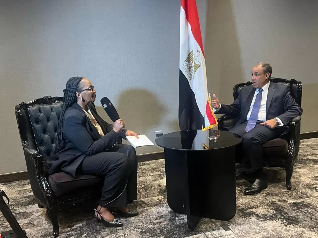 Entretiens du ministre des AE en marge du Sommet du G20 en Afrique du Sud 3 - Le Progrès Egyptien